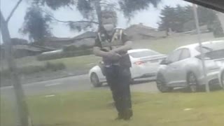 handlers using school kids again there desperately trying to set me up delahey melbourne victoria