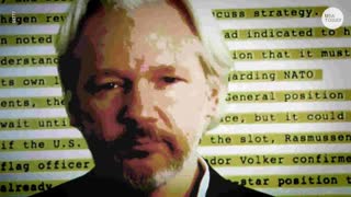 Wikileaks Deception