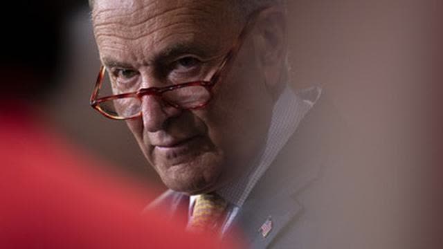 JEWISH CONTROL OVER POLITICAL WORLD STAGE: CHUCK SCHUMER + AMY SCHUMER.. WTF?