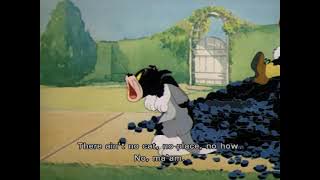 [Tom and Jerry] Racial stereotyping sequence