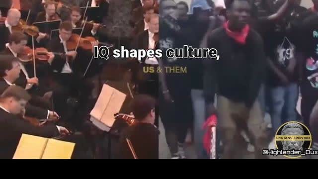 IQ shapes culture