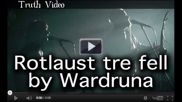 Rotlaust tre fell by Wardruna