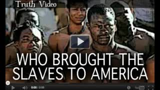 Who Brought the Slaves to America