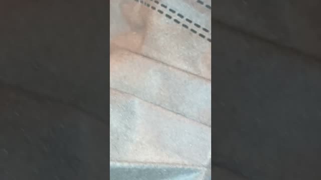 parasite worms in face mask?