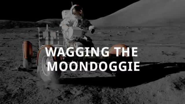 Wag The Moon Doggie.