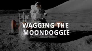 Wag The Moon Doggie.