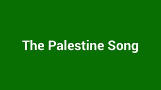 Chris McGill - The Palestine Song