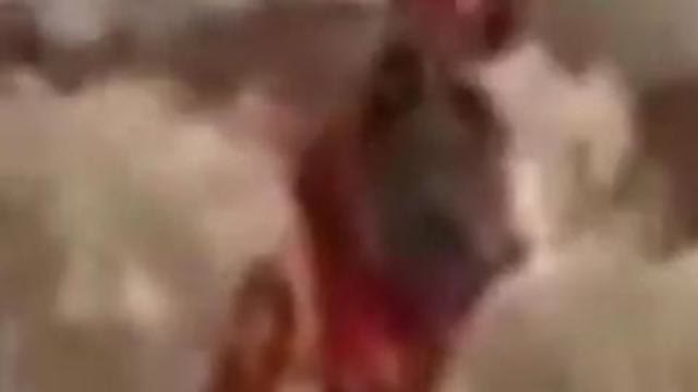 Vatican Reptilian TARES