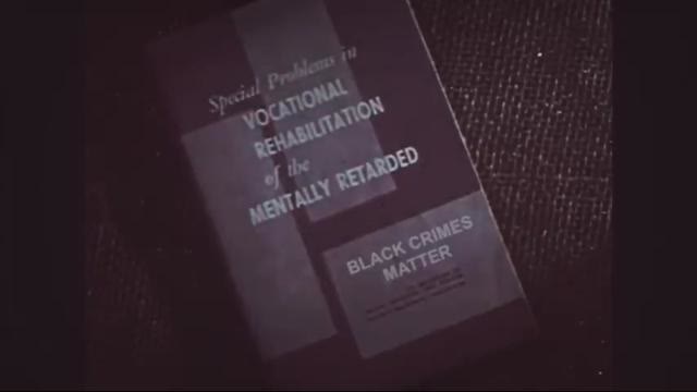 The Five Levels of Retardation ( niggers)