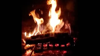 Who are the Kenites, Shepherds Chapel