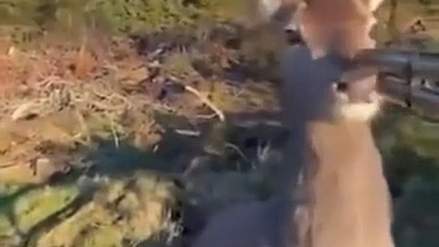 Only the White Man Connects with Nature