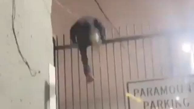 More Border Fences Gotta Be Like This At Least, No Gore