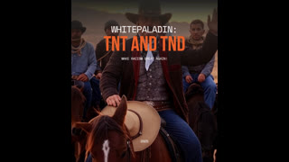 10 - WHITEPALADIN - Beaner