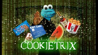 WPTV | COOKIE MONSTER WAFFEN RACIST OME **LIVE AFTER GYPSY**