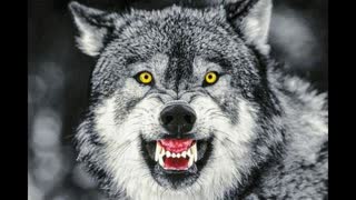 ðŸ˜  THE RAGE BUILDS DAILY | By Kris Cantu