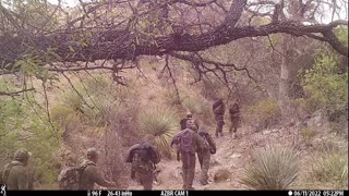 Cartel Rip - society corruption is the head of the snake, an evil must be uprooted