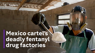 Inside the fentanyl cartel: Mexico crime lords feeding US addiction - society corruption is the head of the snake, an evil must be uprooted