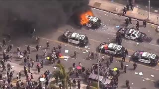 WHO LET THE DOGS OUT?!