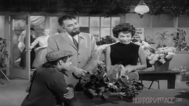 The Little Shop of Horrors (1960 feature film)