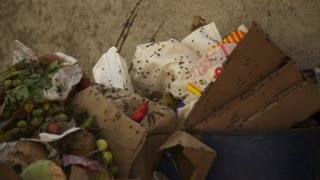 The Terrain is Everything, the Germ is NOTHING. Germ & Virus Theory is an Inversion of Truth!