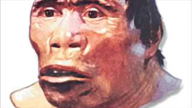 Evolution Pollution - Pt. 2