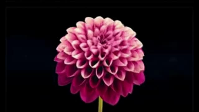 Nature Calls (feat. Bro. Sanchez)