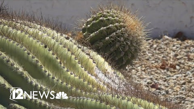 2023 was the hottest year on record...ever