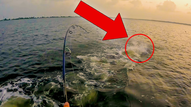 River Monster Fishing - Strong Enough to get Pulled In