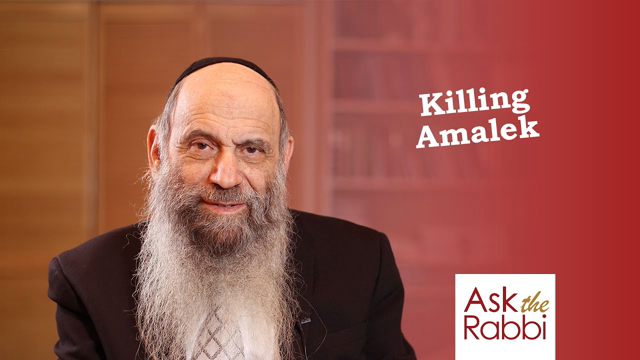Is  there a specific way to kill Amalek? | Ask the Rabbi Live with Rabbi Chaim Mintz