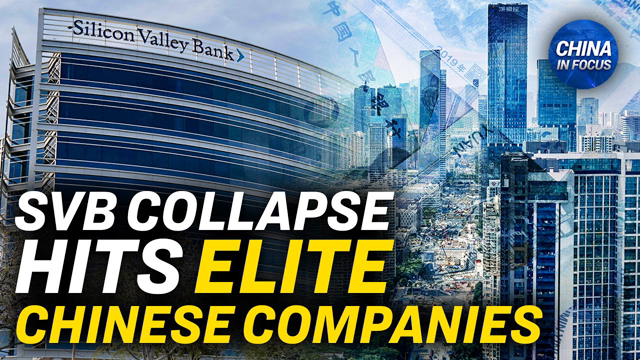 SVB Collapse: Would the US Help Chinese Drugmakers? | China In Focus