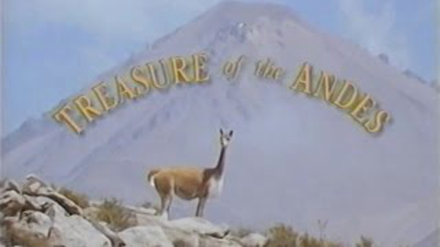Treasure of the Andes (1993)