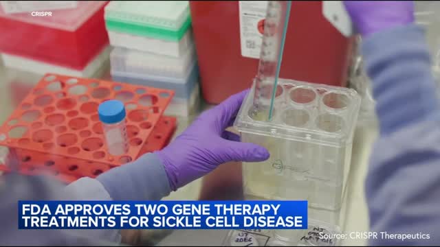 FDA approves gene editing treatments that may cure sickle cell