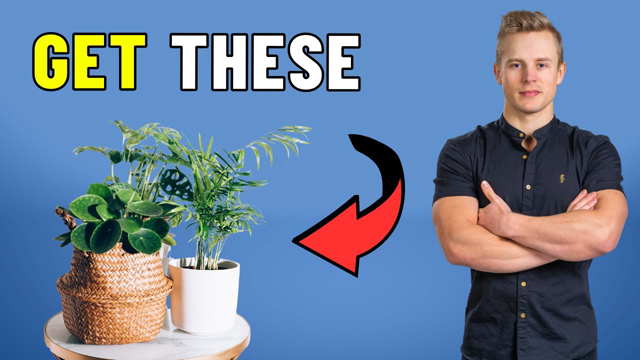 BEWARE: Things In Your House That Accelerate Aging