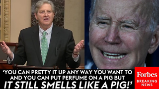 JUST IN: John Kennedy Delivers Epic Takedown Of Biden For 'Bailout' Of Silicon Valley Bank