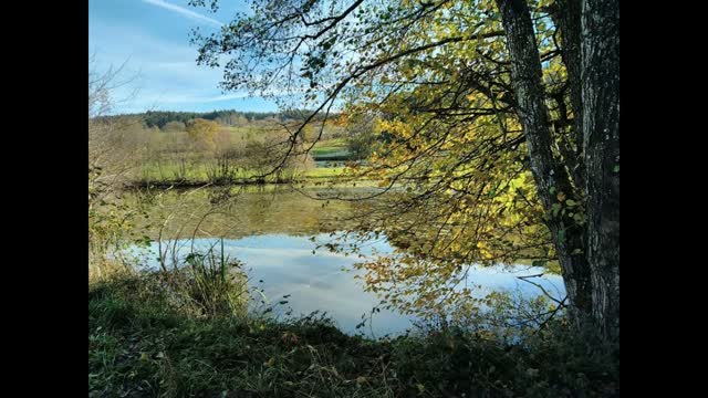 The Dream Girl de Albert John Weidt - Guitar