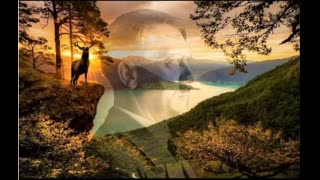 Adolf Hitler - His life and Vision