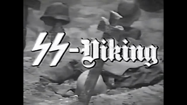 5th SS Division Viking 1989 (Finnish)