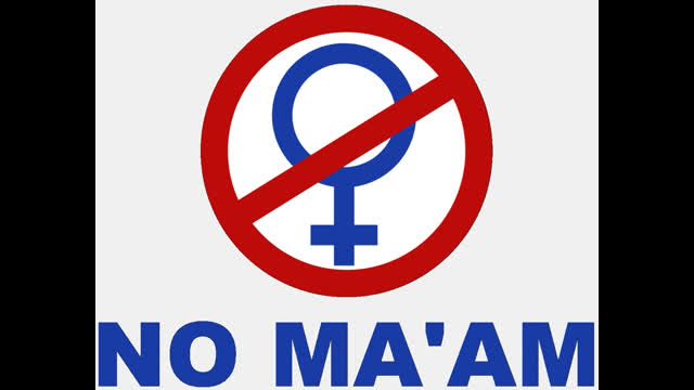 FEMINIST REVOLUTIONARY SPIRIT