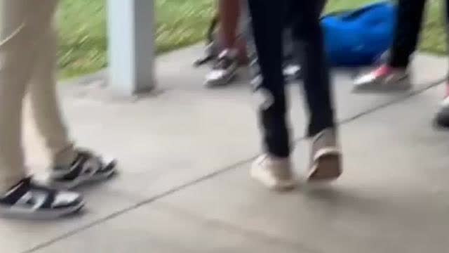 White Kid FIghts Pedo Nigger who was Trying to Talk to His 13 Year Old Sister