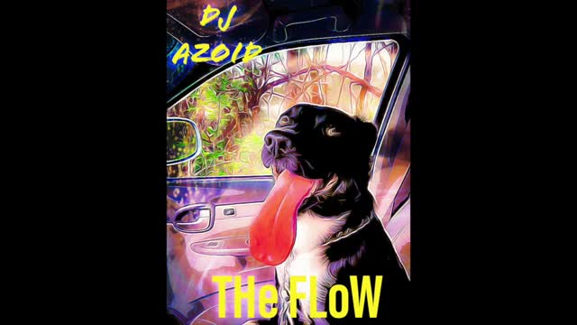DJ aZoiD THe FLoW