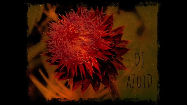 DJ aZoiD BeaTDoWN FRoM BeYoNDaZoiD 26