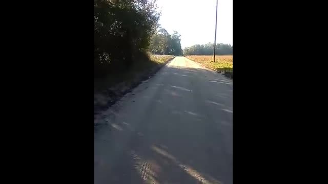 Let Me Know Your Opinion on This One