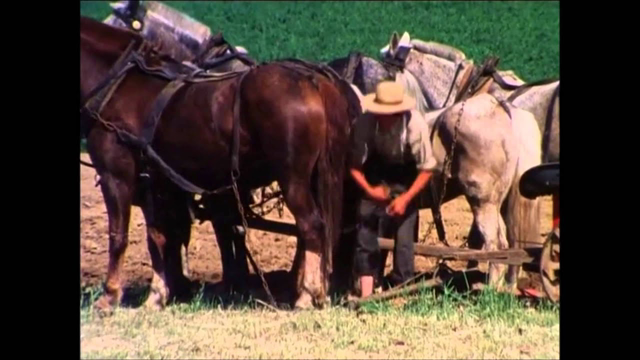 Pennsylvania Dutch Documentary