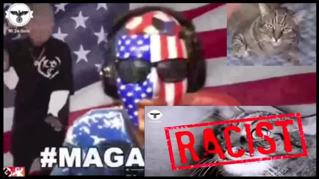 Racist Kitty Posting Hour - 3/23/2023 - AIS