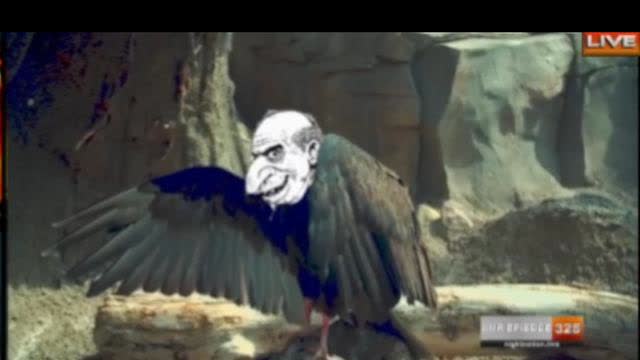 Culture Vultures - 4/11/2022 - NNR