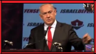 Lets Try To Understand Our Greatest Allies - 1/19/2022 - Mickhigan