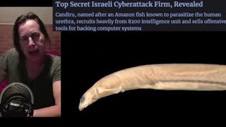 Literal Parasites - 11/22/2021 - HarryVox