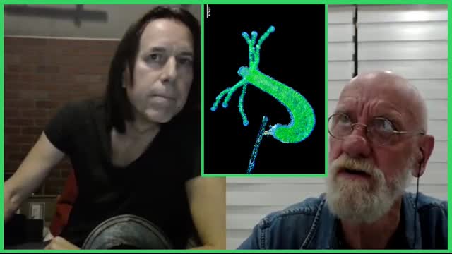 Top Truthers Are Able To Connect After A Year - 10/23/2021 - HarryVoxx