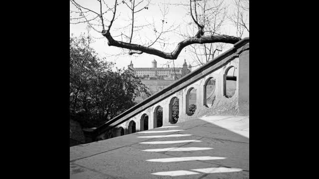 Misc Adolf Hitler translation (13)