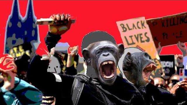 Doomer Caught In A Burn Loot Murder "Protest"